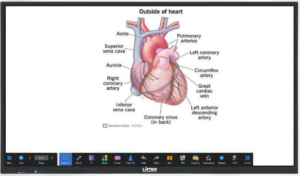 Latest Android 16 Interactive Flat Panel: 10 Best Features